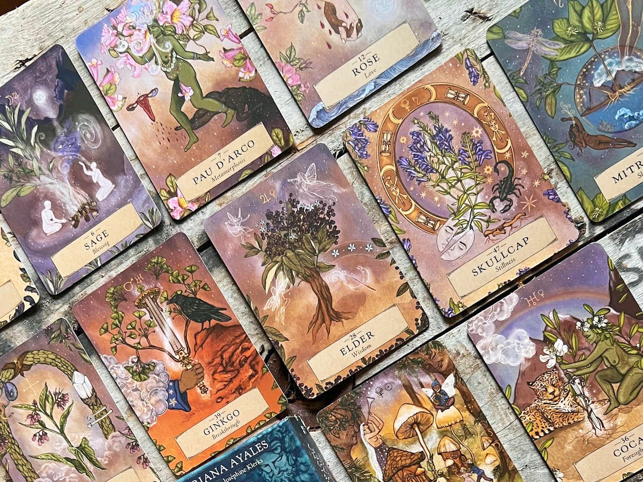 REFINERY29 FEATURE: HERBAL Astrology Oracle Deck