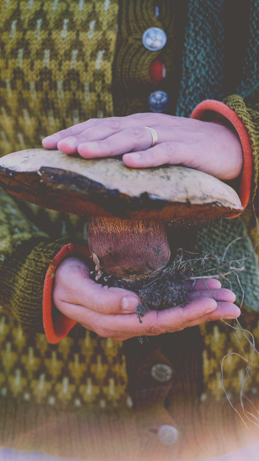 FORAGING 101:  DIGGING INTO the Dos and Don’ts