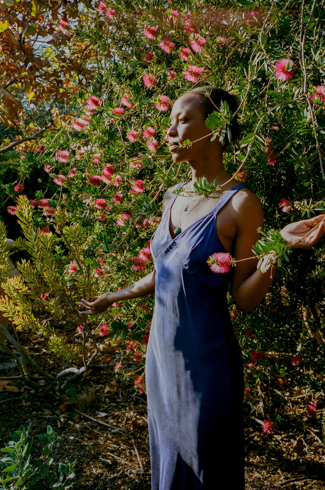 Oracle Readings &amp; Ancestral Wisdom with Wandie
