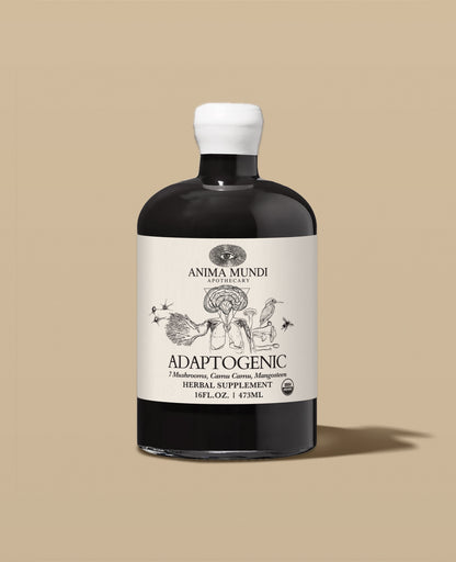 ADAPTOGENIC Tonic | Organic, 7 Mushrooms, Camu Camu, Mangosteen