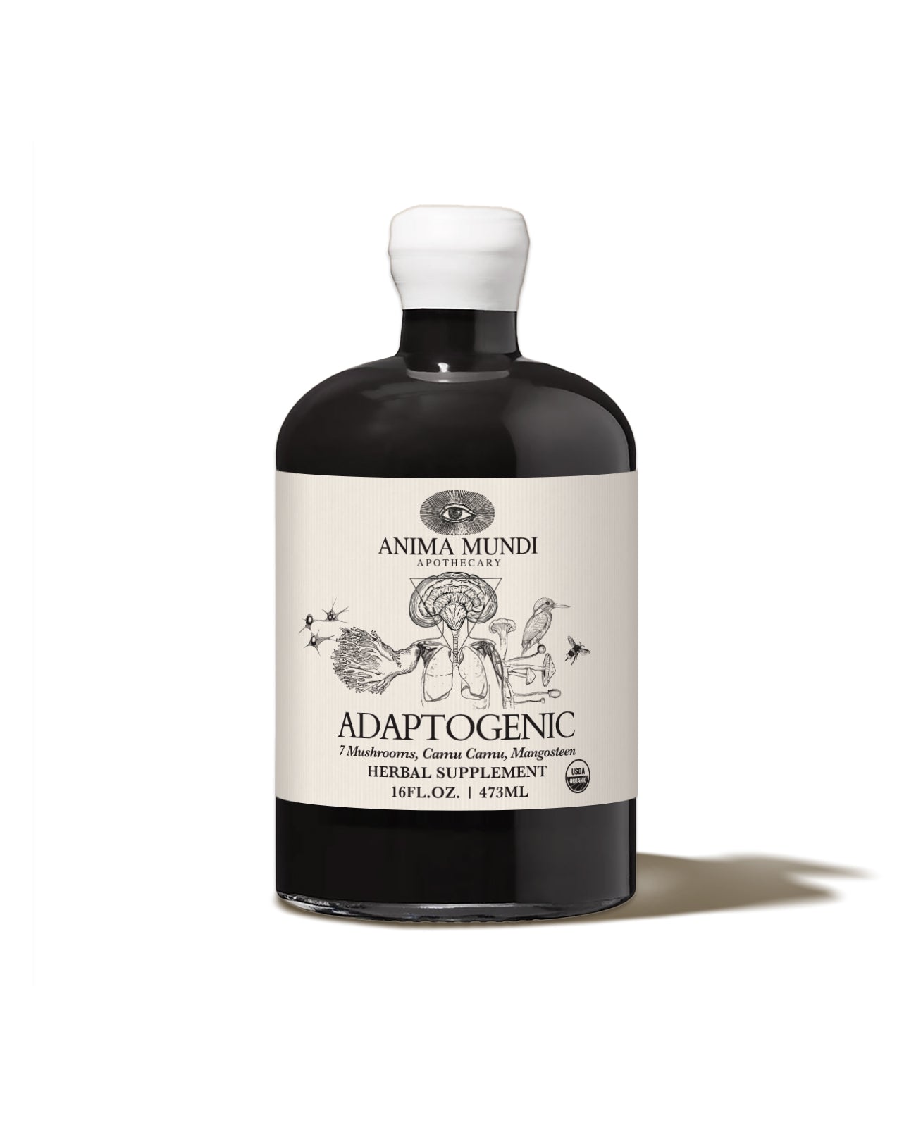 ADAPTOGENIC Tonic | 7 Mushrooms, Camu Camu, Mangosteen