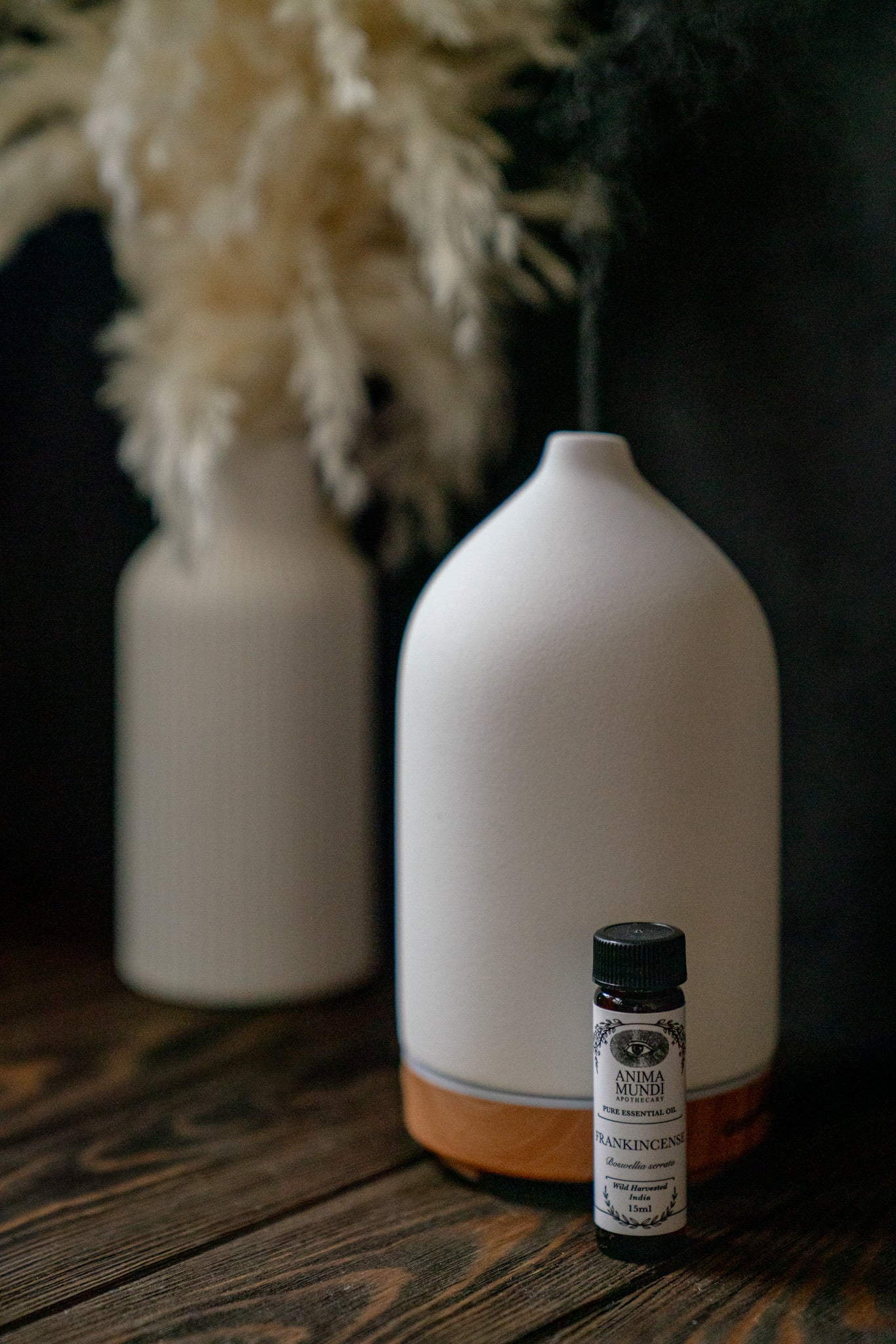 FRANKINCENSE Essential Oil | Wildcrafted