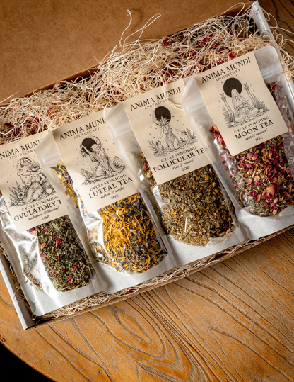 Free Herbal Hour: Four Teas for Four Phases (Venice)