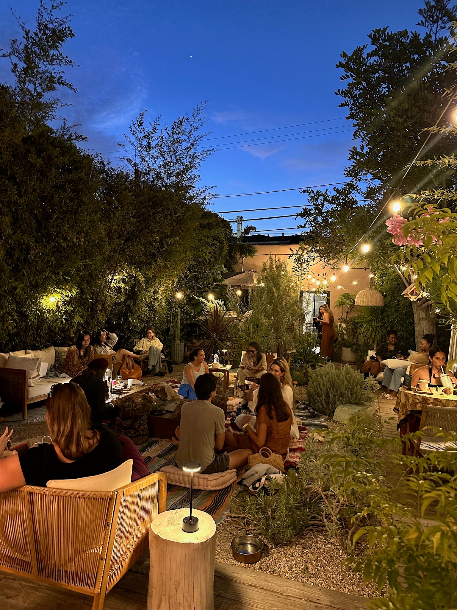 Anima Mundi Herbals events People enjoying a gathering in an outdoor setting with string lights and greenery.