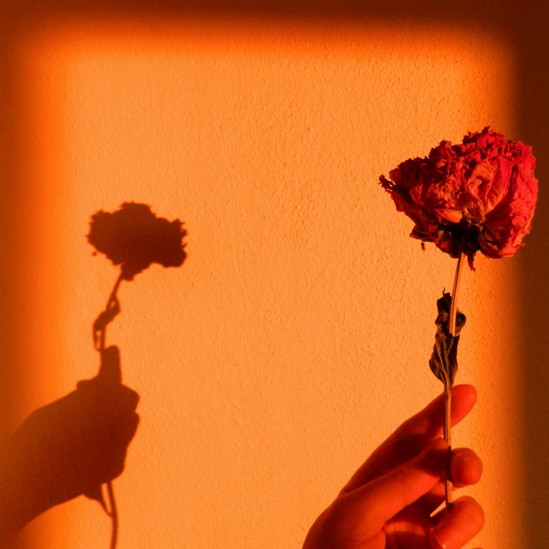 Love.Sex.Magic: Aphrodisiacs