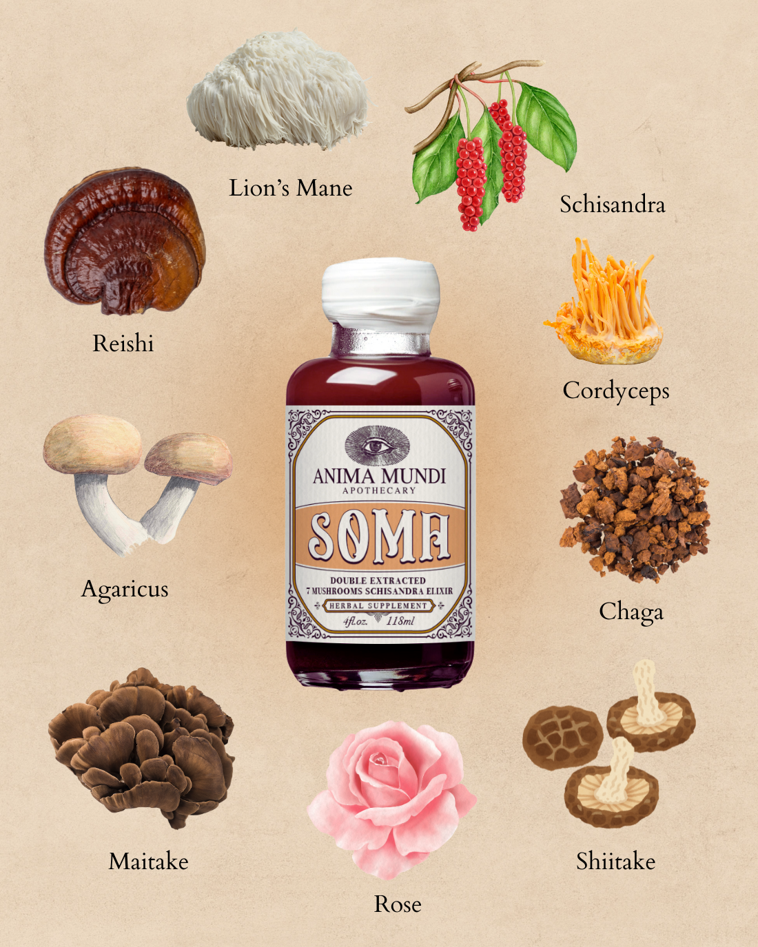 SOMA Elixir | 7 Mushrooms + Schisandra