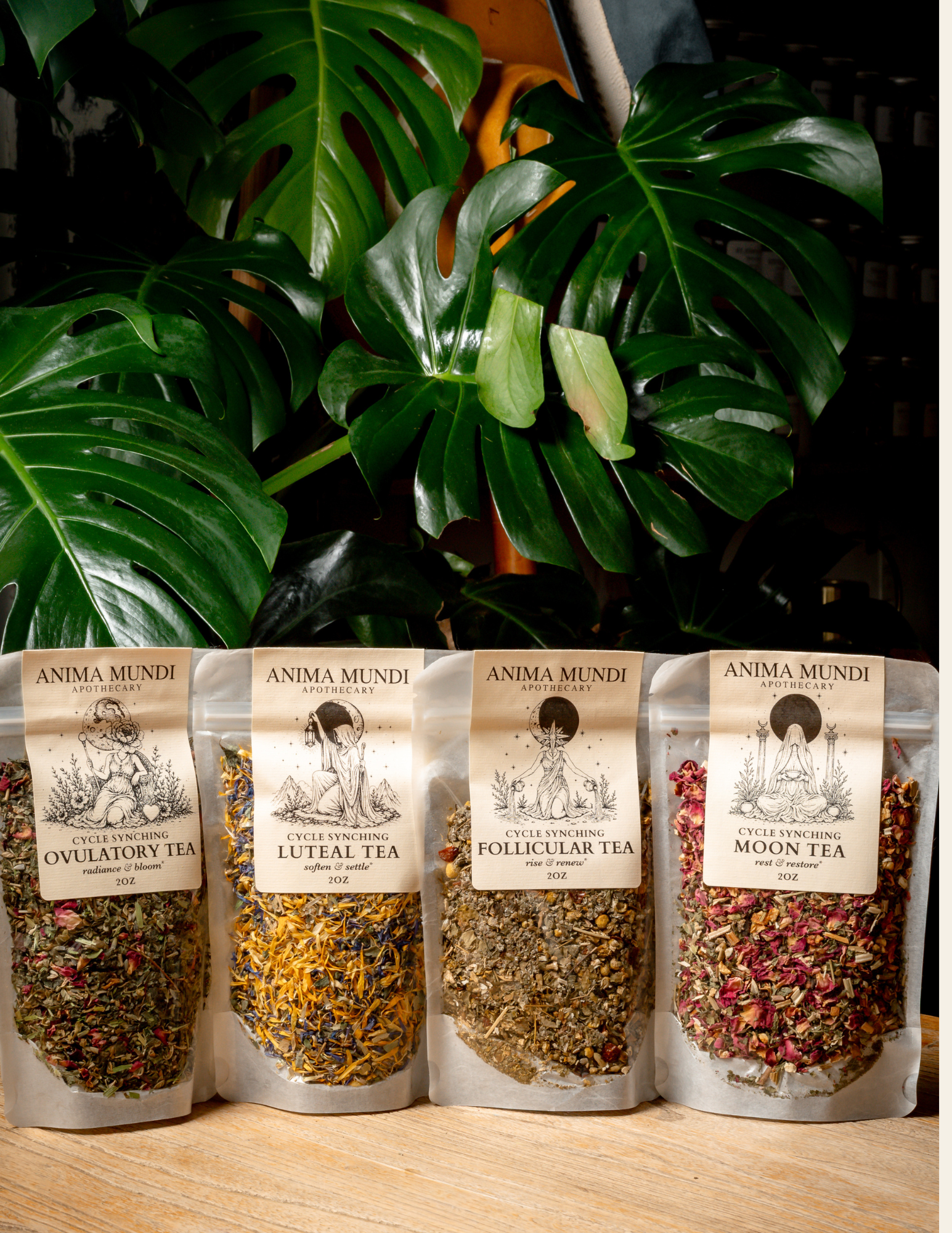 Free Herbal Hour: Four Teas for Four Phases (Venice)