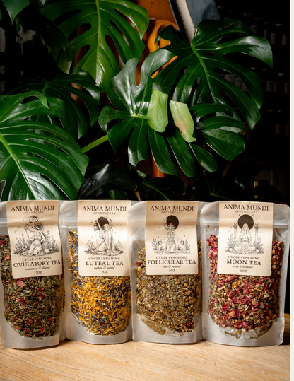 Free Herbal Hour: Four Teas for Four Phases (Venice)