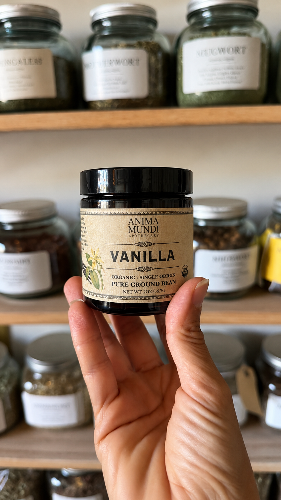 A hand holds a small jar of Anima Mundhi Vanilla Pure Ground Bean against a background of wooden shelves filled with other glass jars of herbs and spices.