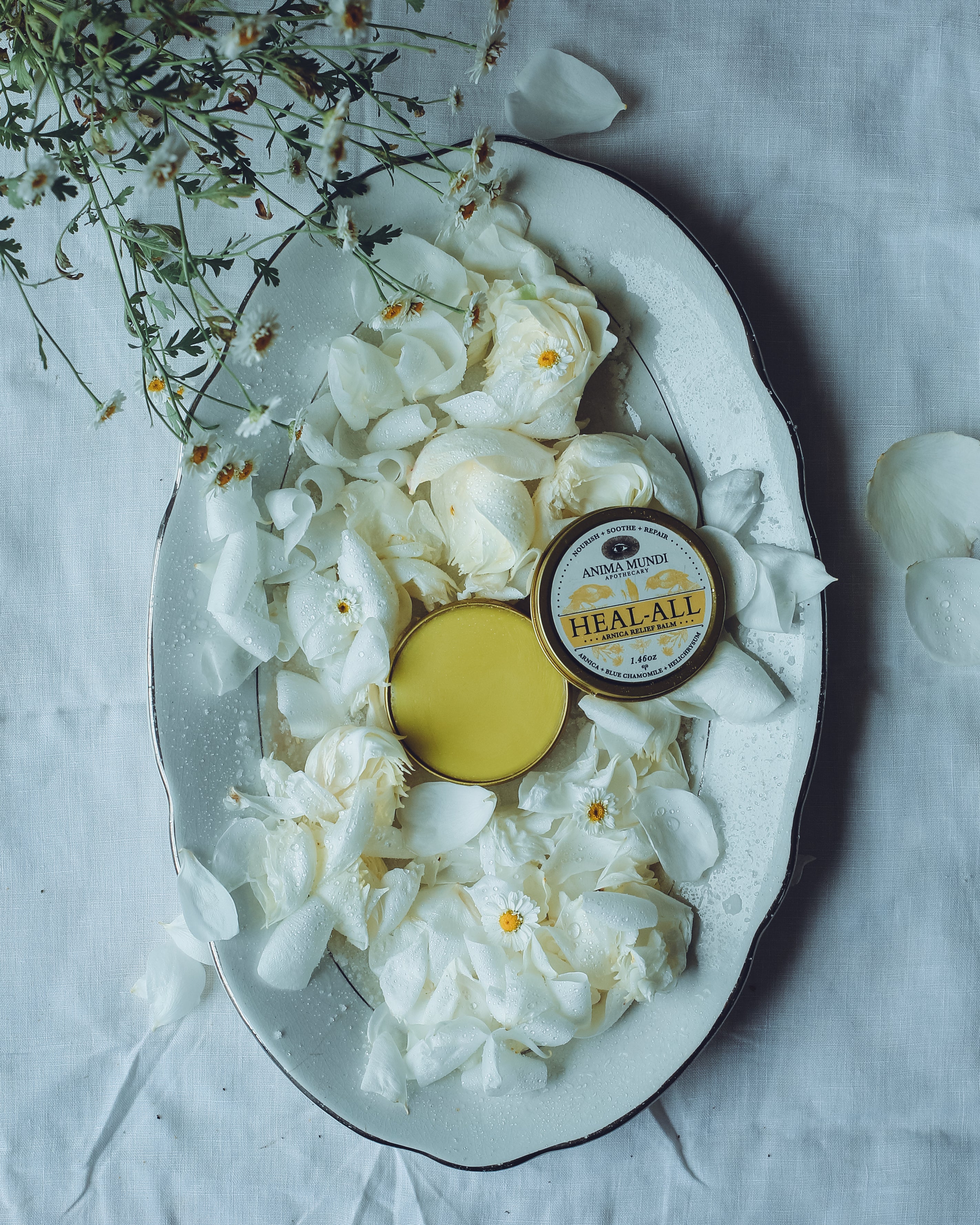 HEAL-ALL Arnica Relief Balm | Nourish, Soothe + Repair