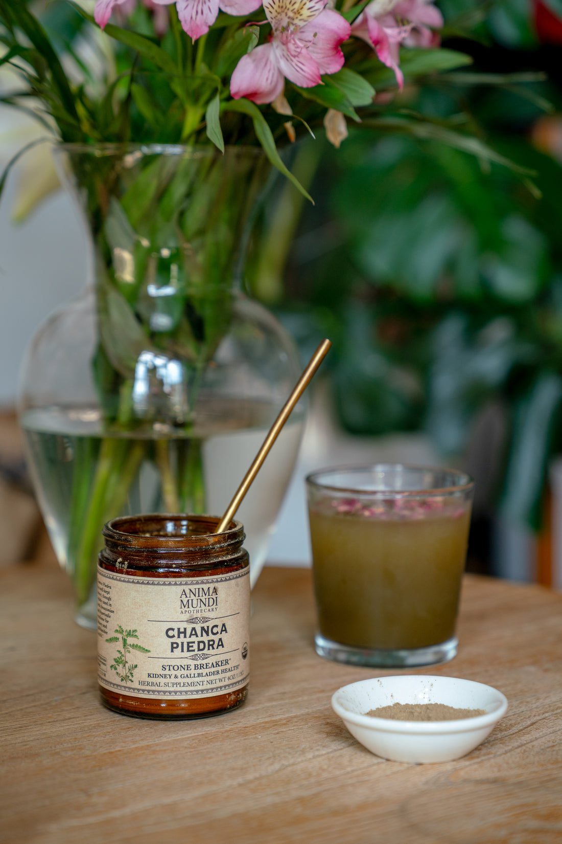 CHANCA PIEDRA | Traditional Amazonian “Stone Breaker”*