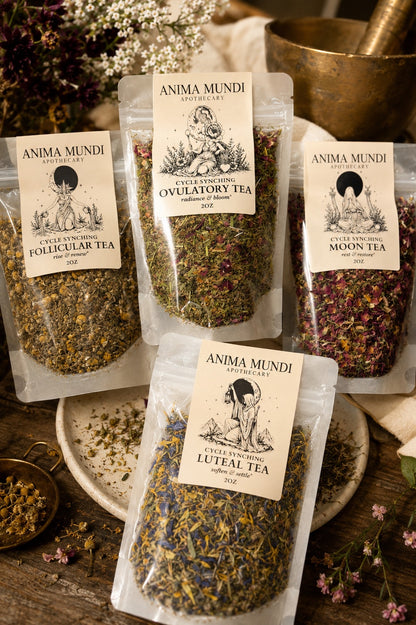 The Menstrual Cycle Tea Kit | Four Teas for Every Phase of Your Cycle