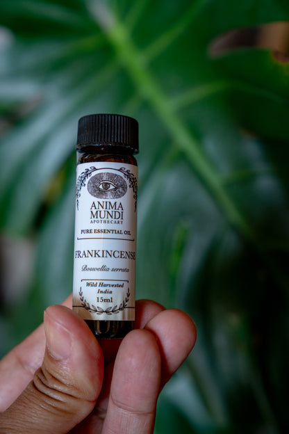 FRANKINCENSE Essential Oil | Wildcrafted