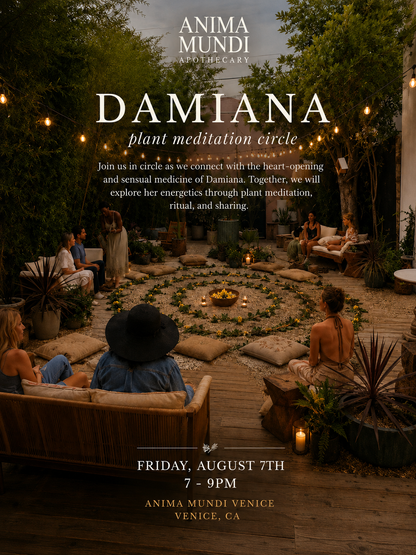Pleasure, Passion &amp; Presence: A Plant Meditation with Damiana