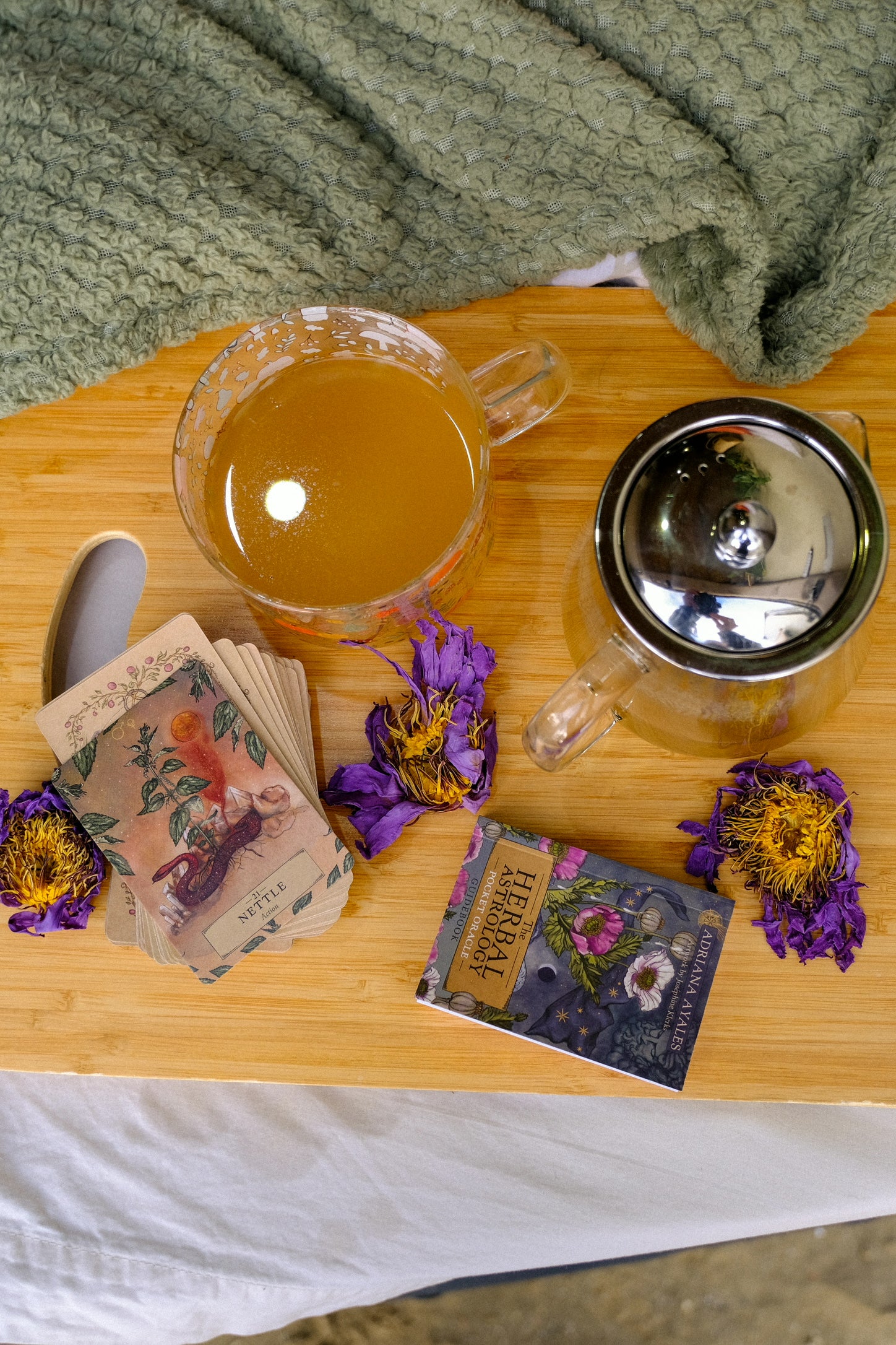 HERBAL ASTROLOGY Oracle | Pocket Size – Anima Mundi Herbals