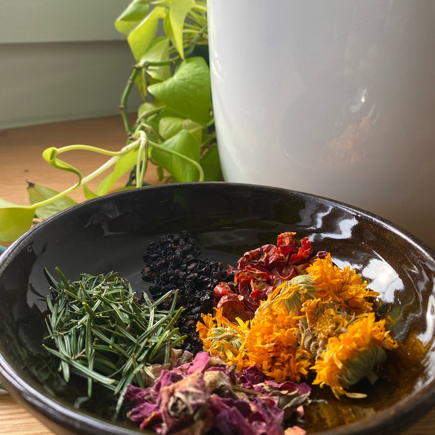 Herbalism Through the Seasons Course
