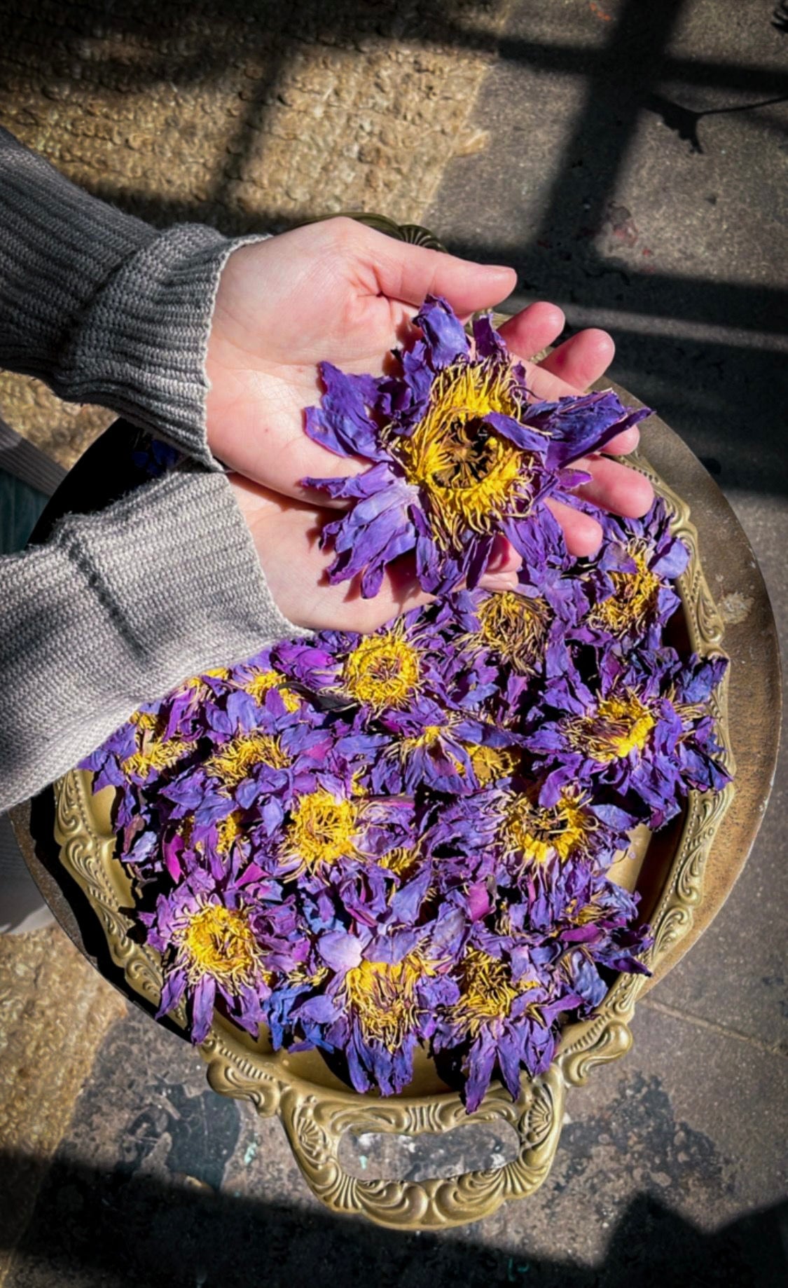 Flower Trio | BUNDLE