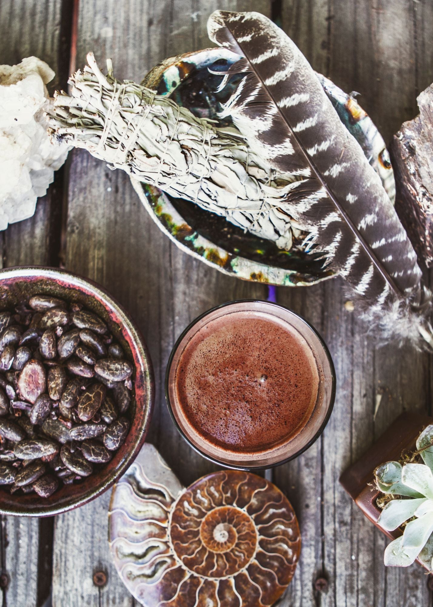 Cacao Ceremony with Florencia Fridman