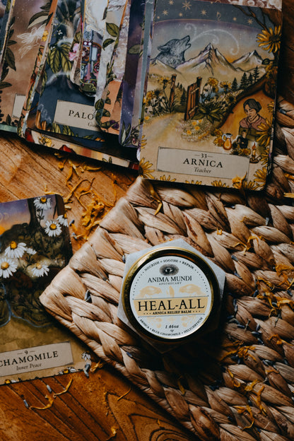 HEAL-ALL Arnica Relief Balm | Nourish, Soothe + Repair