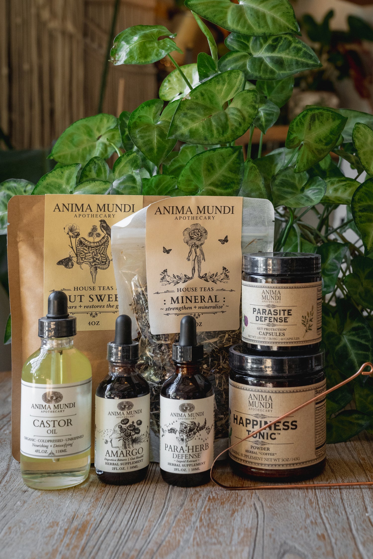 PARA-HERB DEFENSE Tonic | Cleansing + Detoxifying*