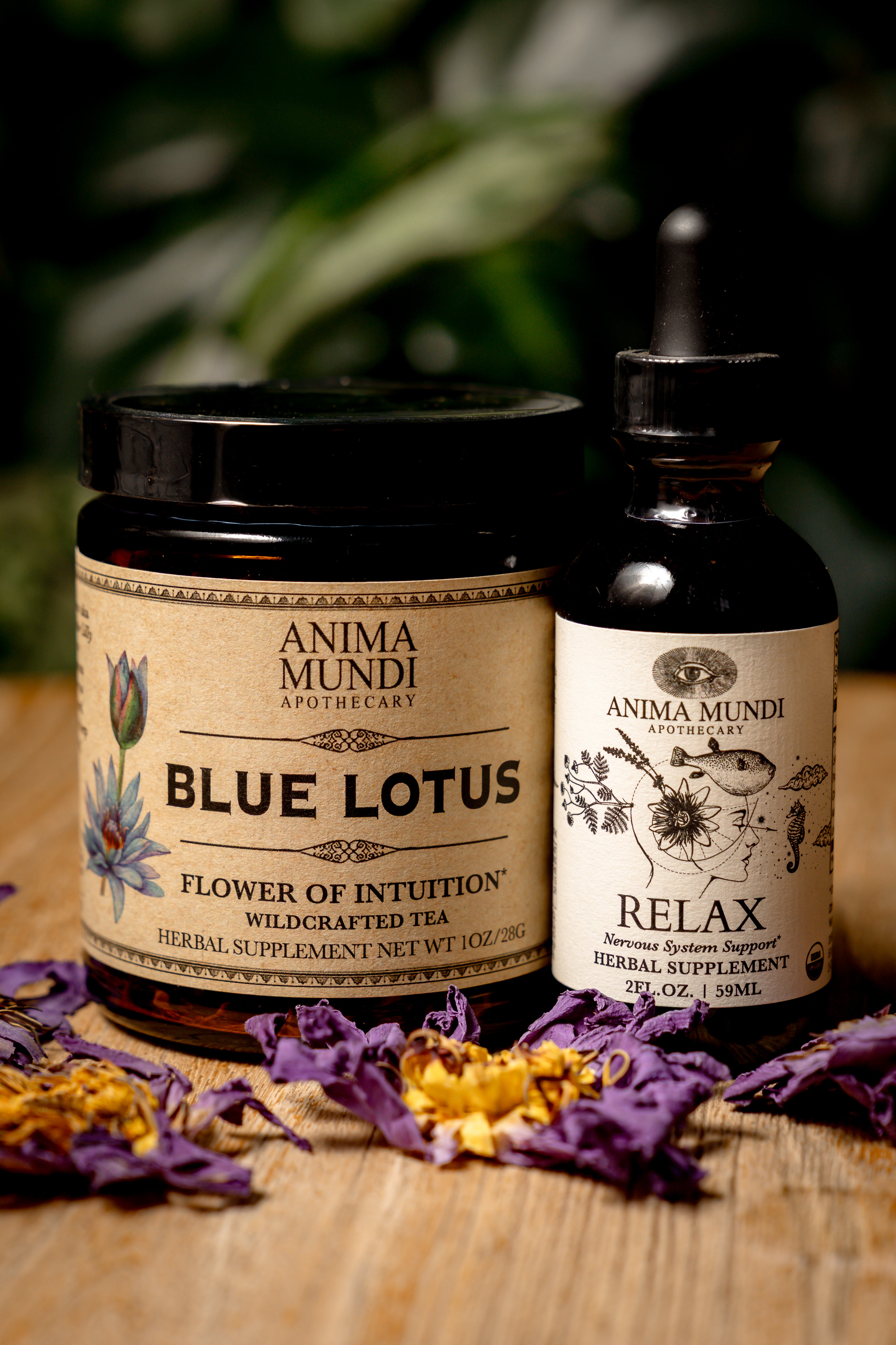 Relax | BUNDLE
