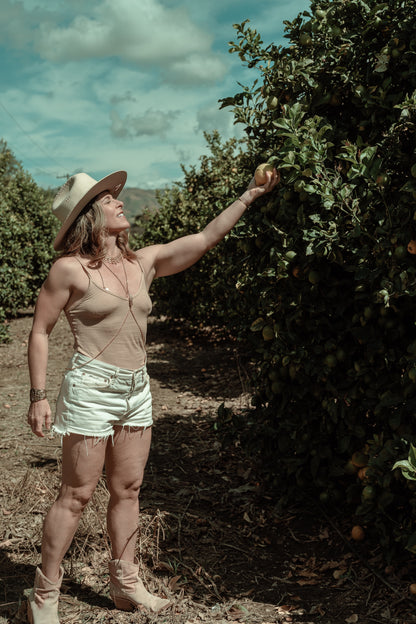 The Harvest: A Women&