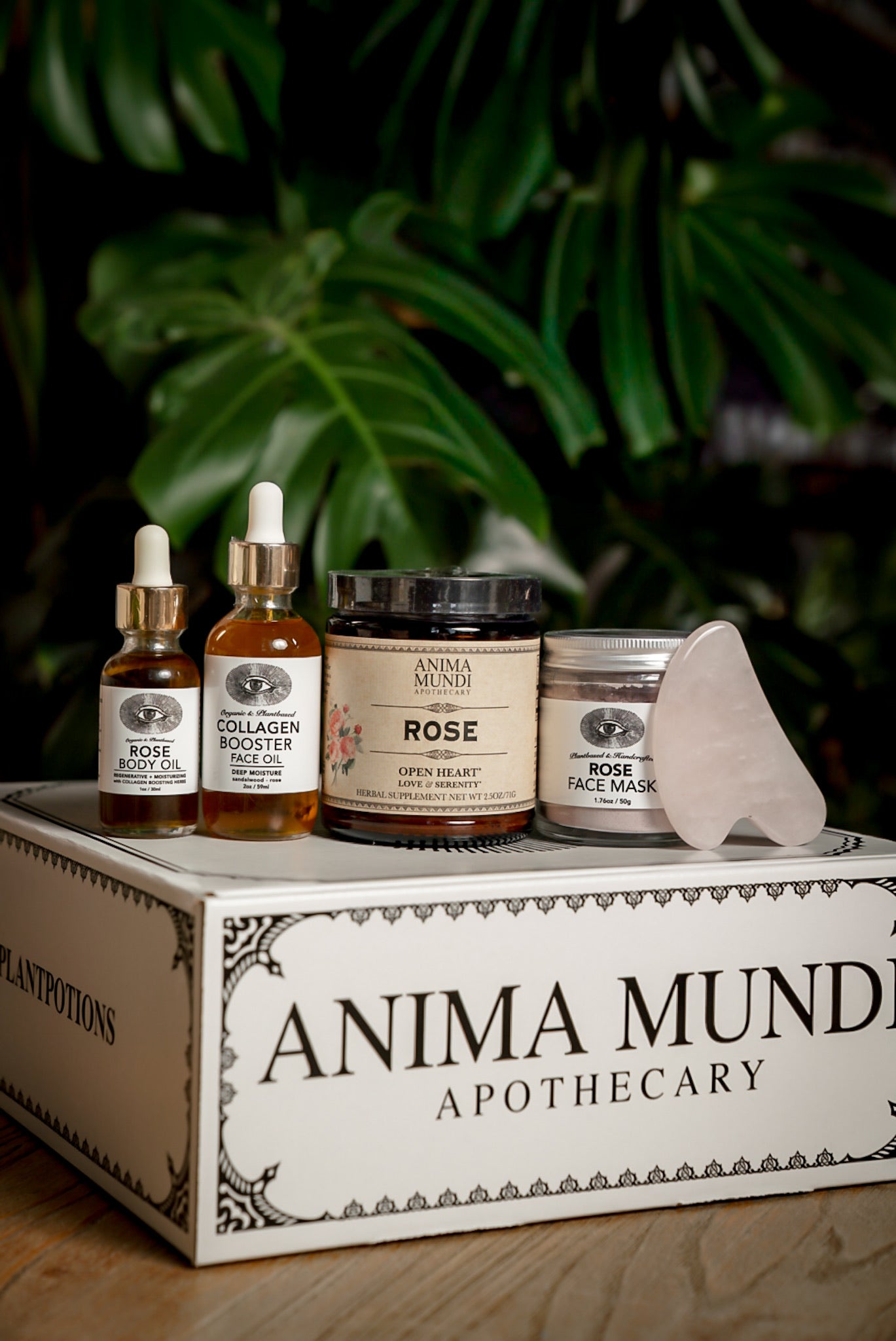 ROSE MAGIC KIT | Heart Alchemy*