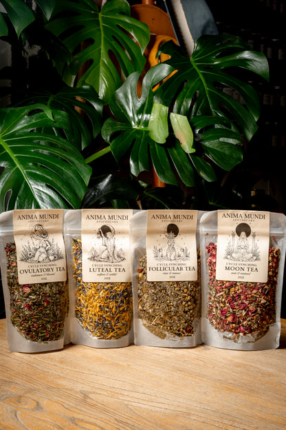 The Menstrual Cycle Tea Kit | Four Teas for Every Phase of Your Cycle