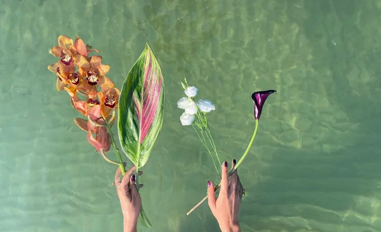 Energy Readings with Penny