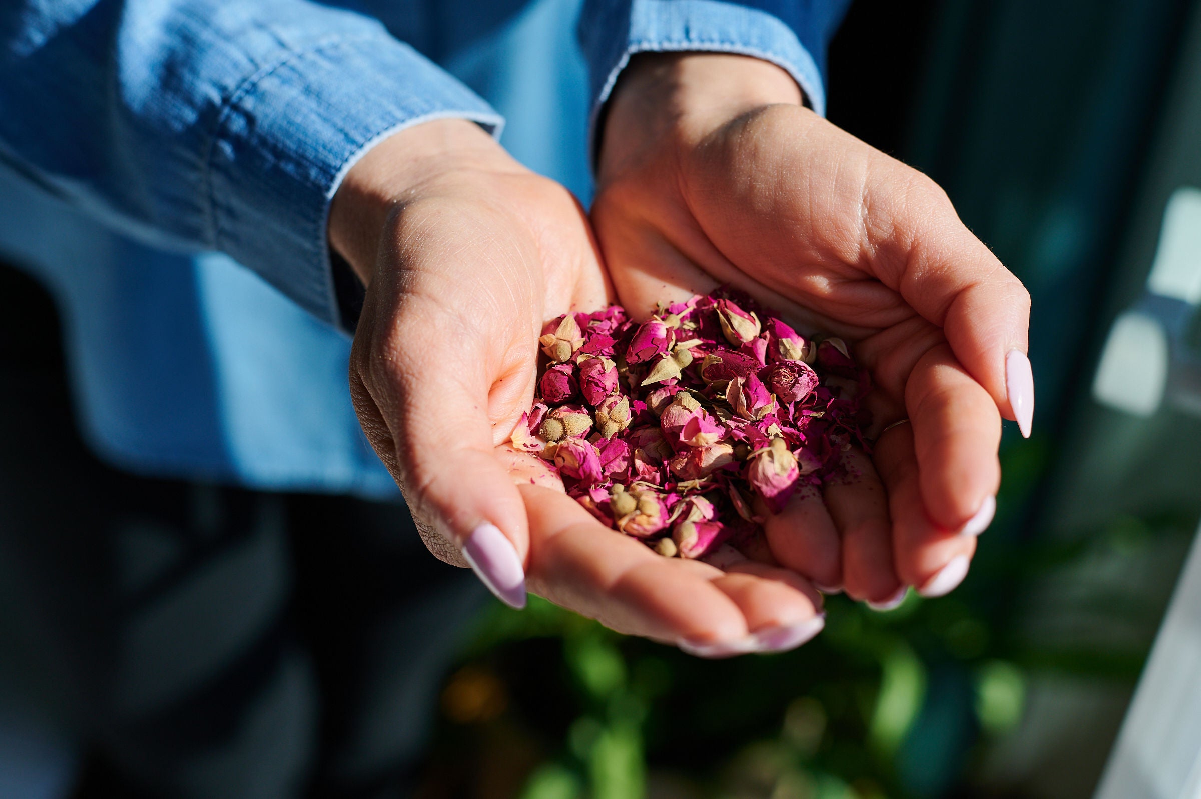 Live Like a Yogi: Fundamentals of Ayurveda