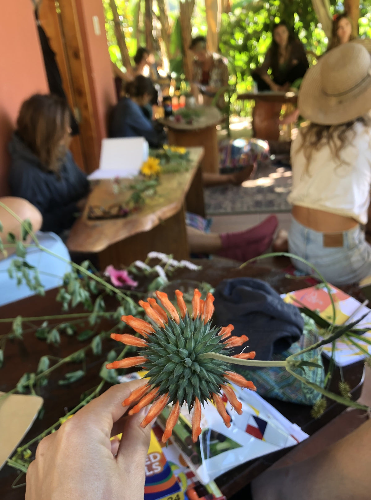 Traditional Herbalism 4-Part Series