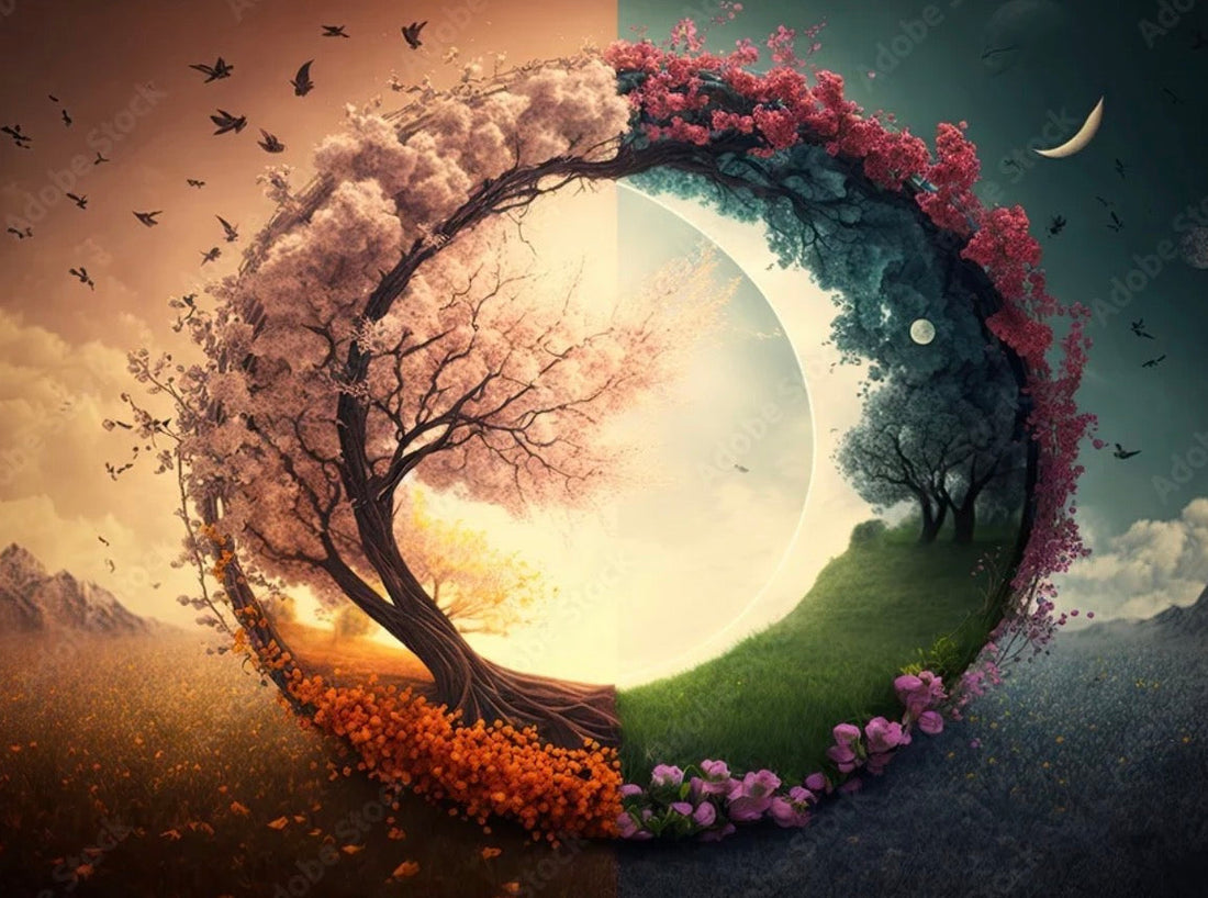 Spring Equinox Meditation