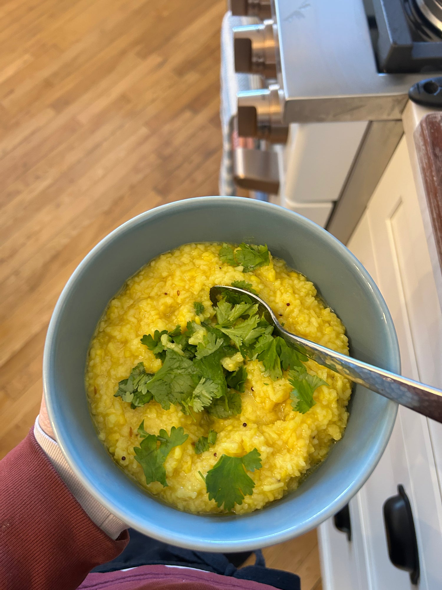 Intro to Ayurveda: A 2-Day Intensive