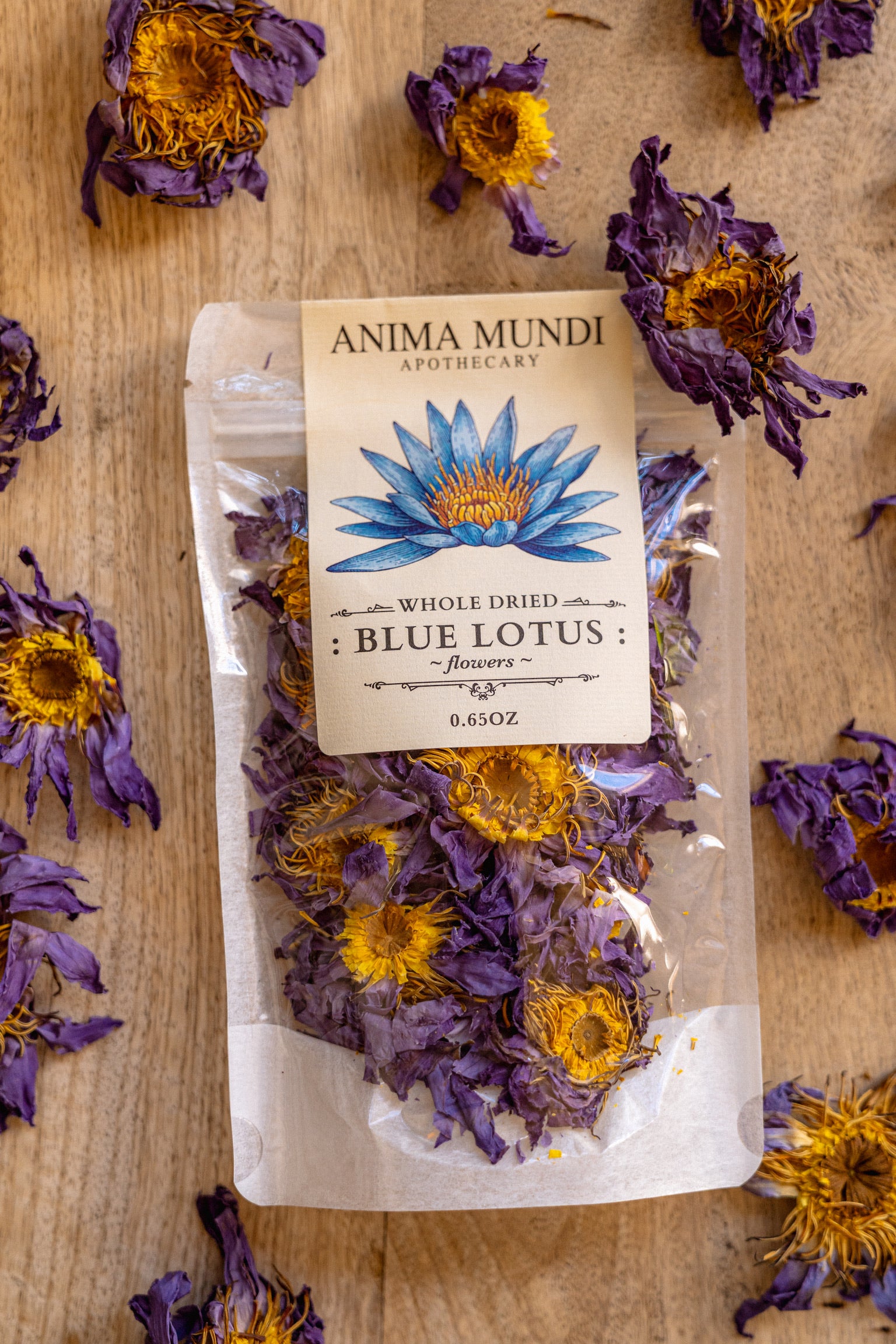 WHOLE BLUE FLOWERS | Blossoms of Intuition*