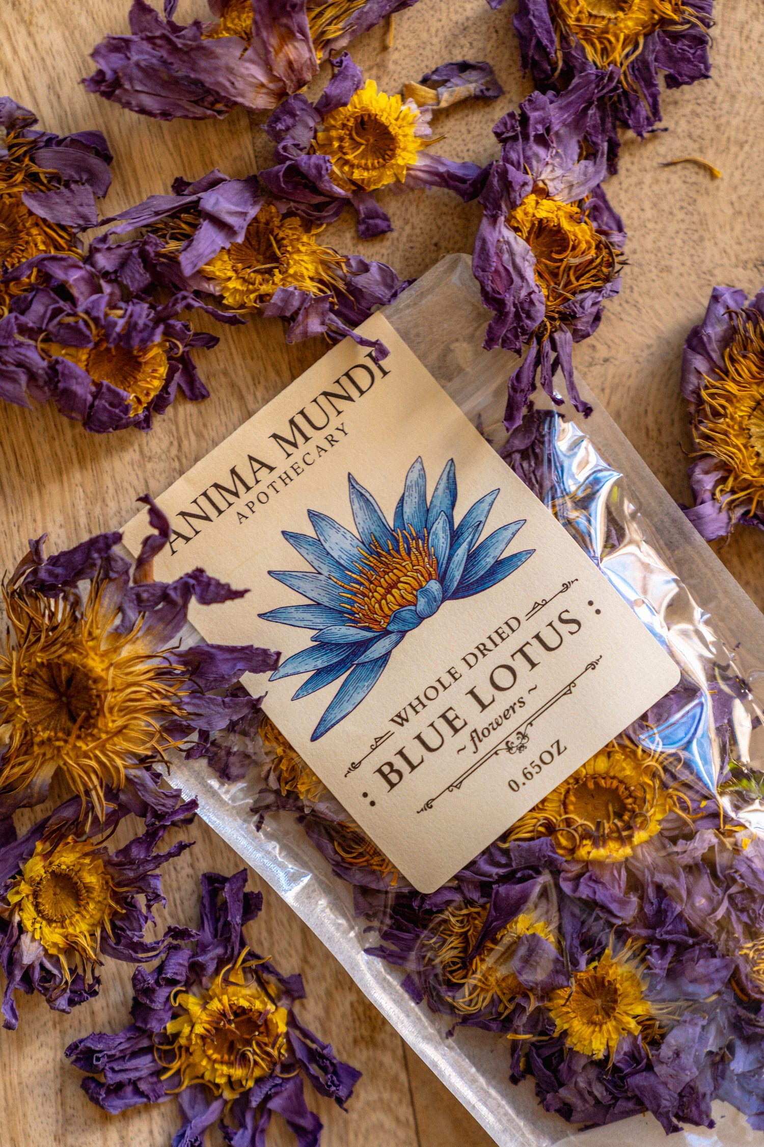 WHOLE BLUE FLOWERS | Blossoms of Intuition*