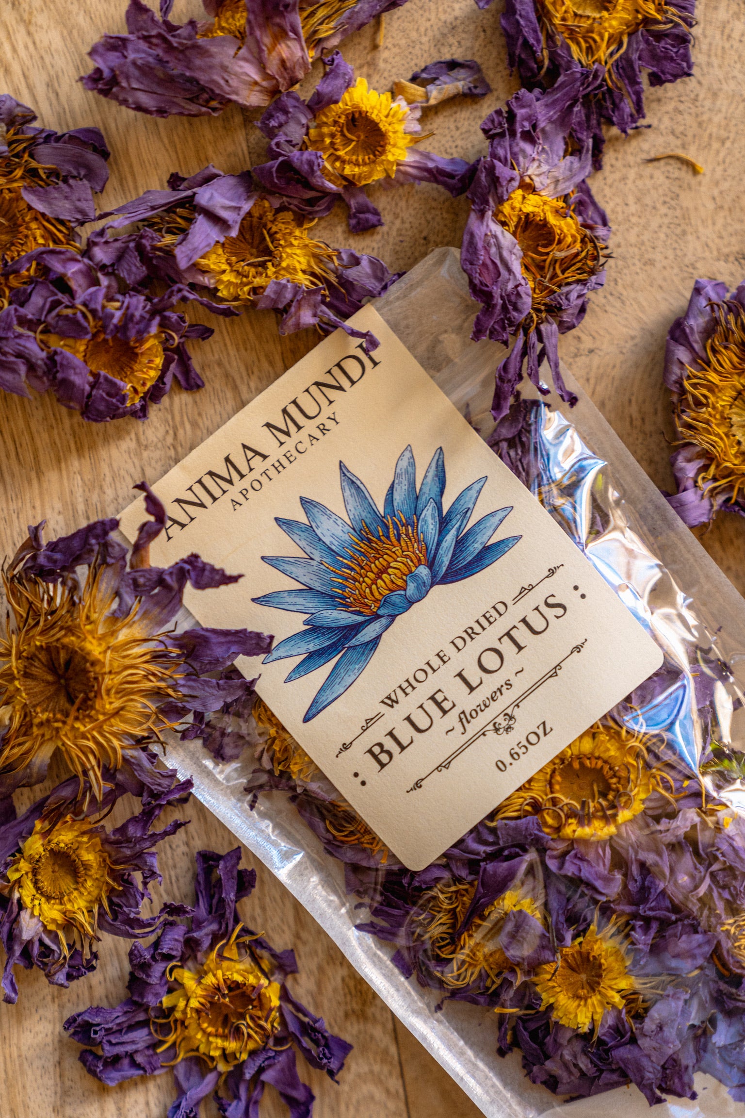 WHOLE BLUE FLOWERS | Blossoms of Intuition*