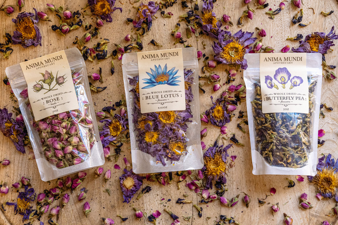 Flower Trio | BUNDLE