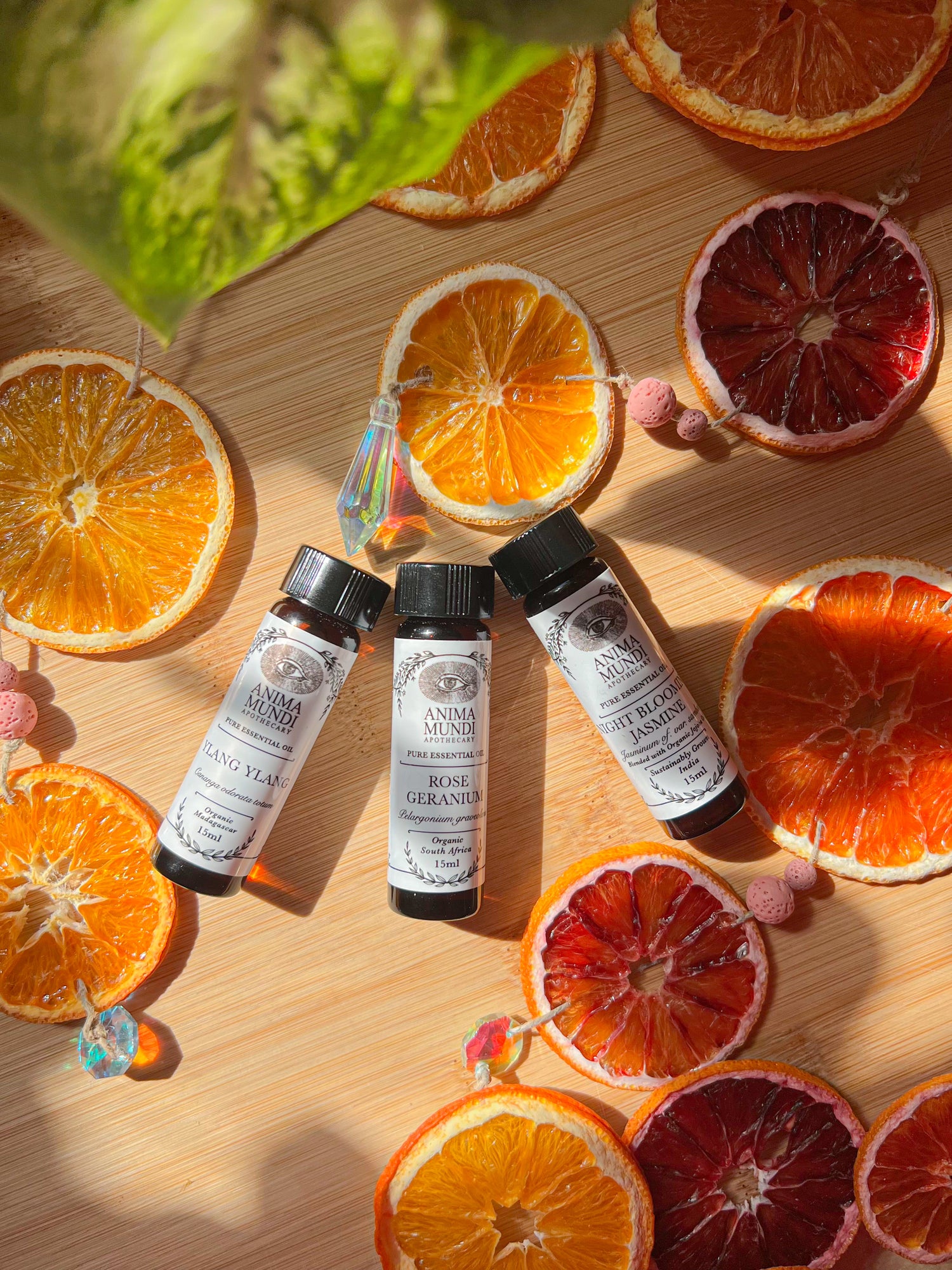 YLANG-YLANG Complete Essential Oil | Organic