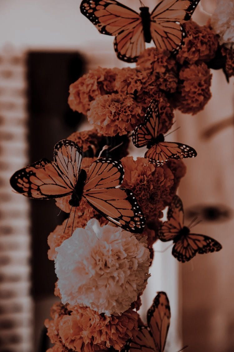 Ancestor Meeting: Spirit of Fire + Cacao