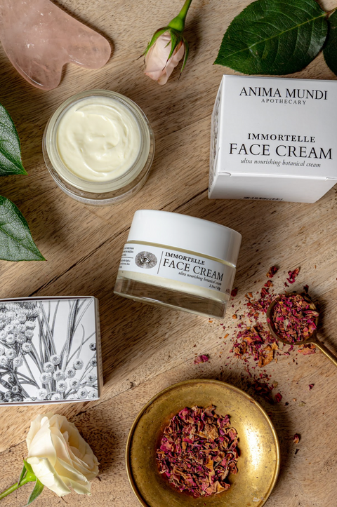 Immortelle Face Cream Hydrating Botanical Moisturizer for Skin Immortelle Face Cream Hydrating Botanical Moisturizer for Skin