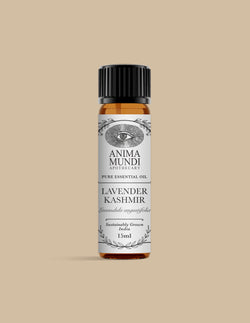 LAVENDER KASHMIR Essential Oil | Sustainably Cultivated