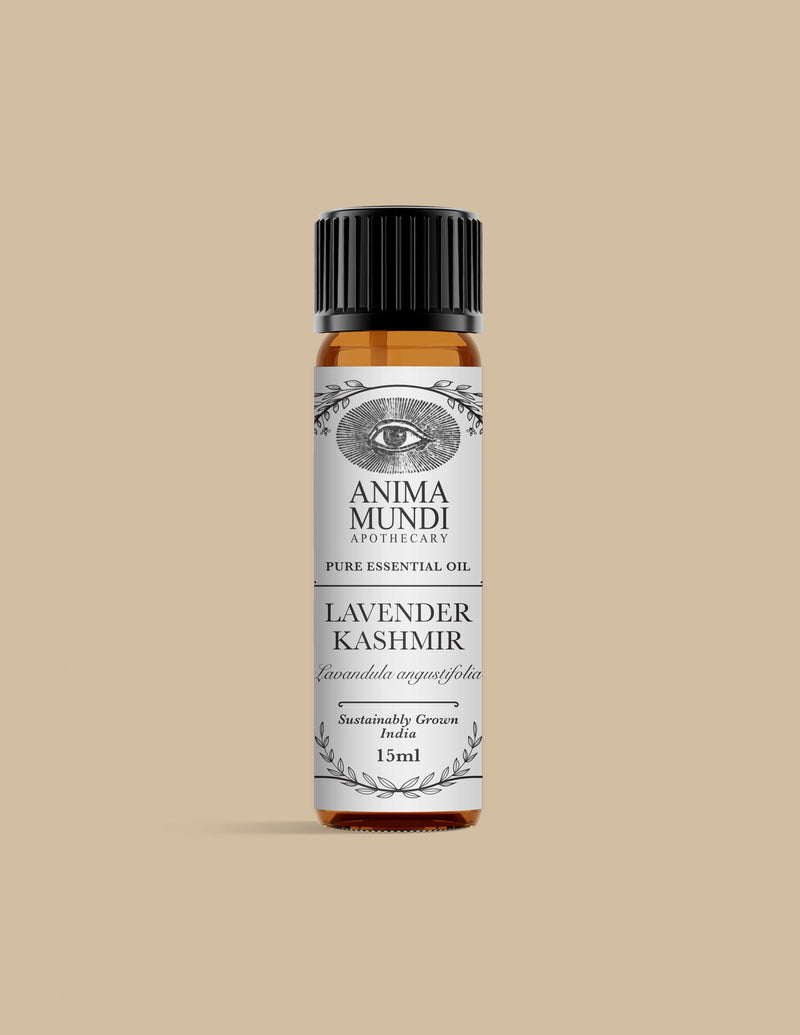LAVENDER KASHMIR Essential Oil | Sustainably Cultivated
