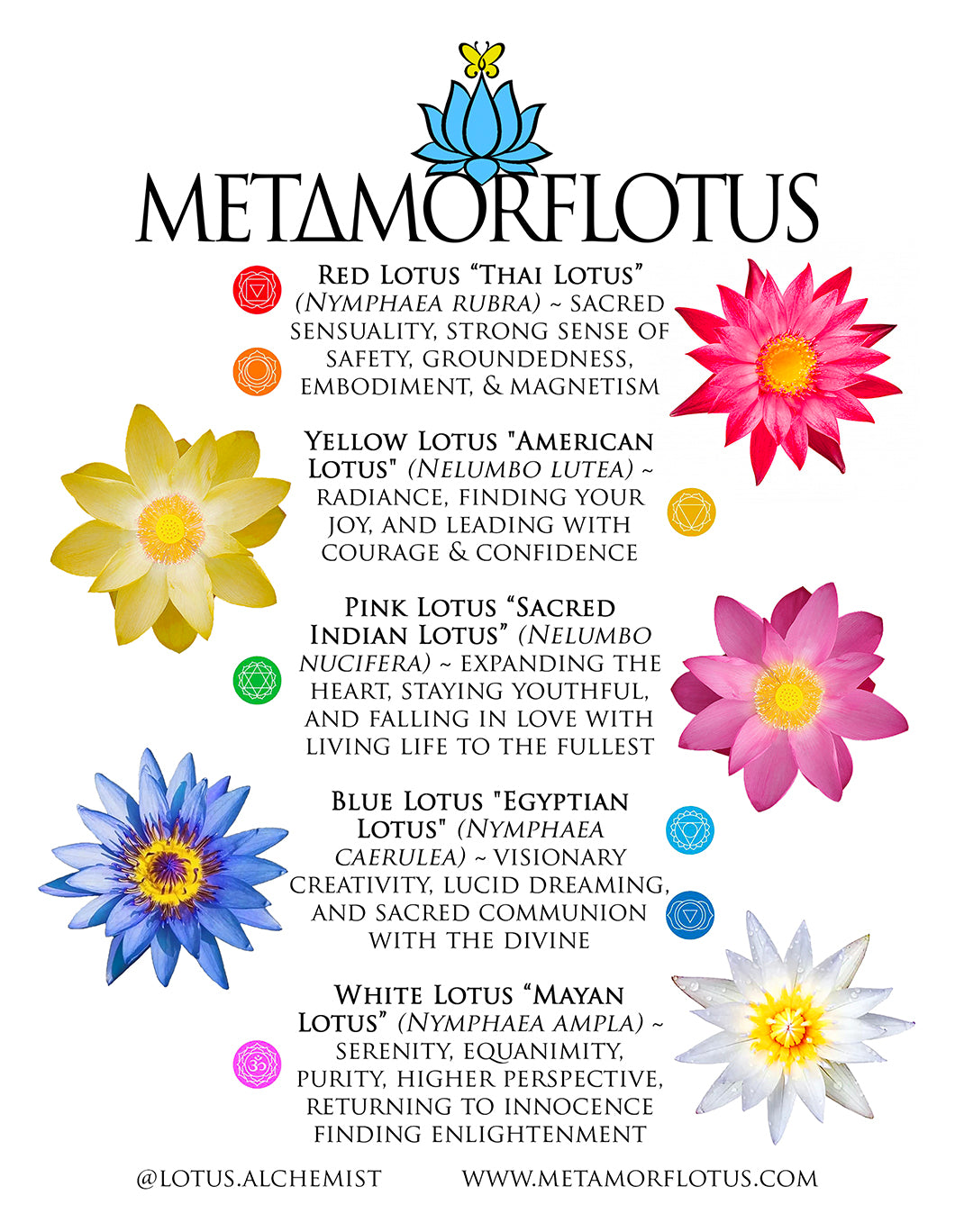 Lotus Flower Equinox Ceremony