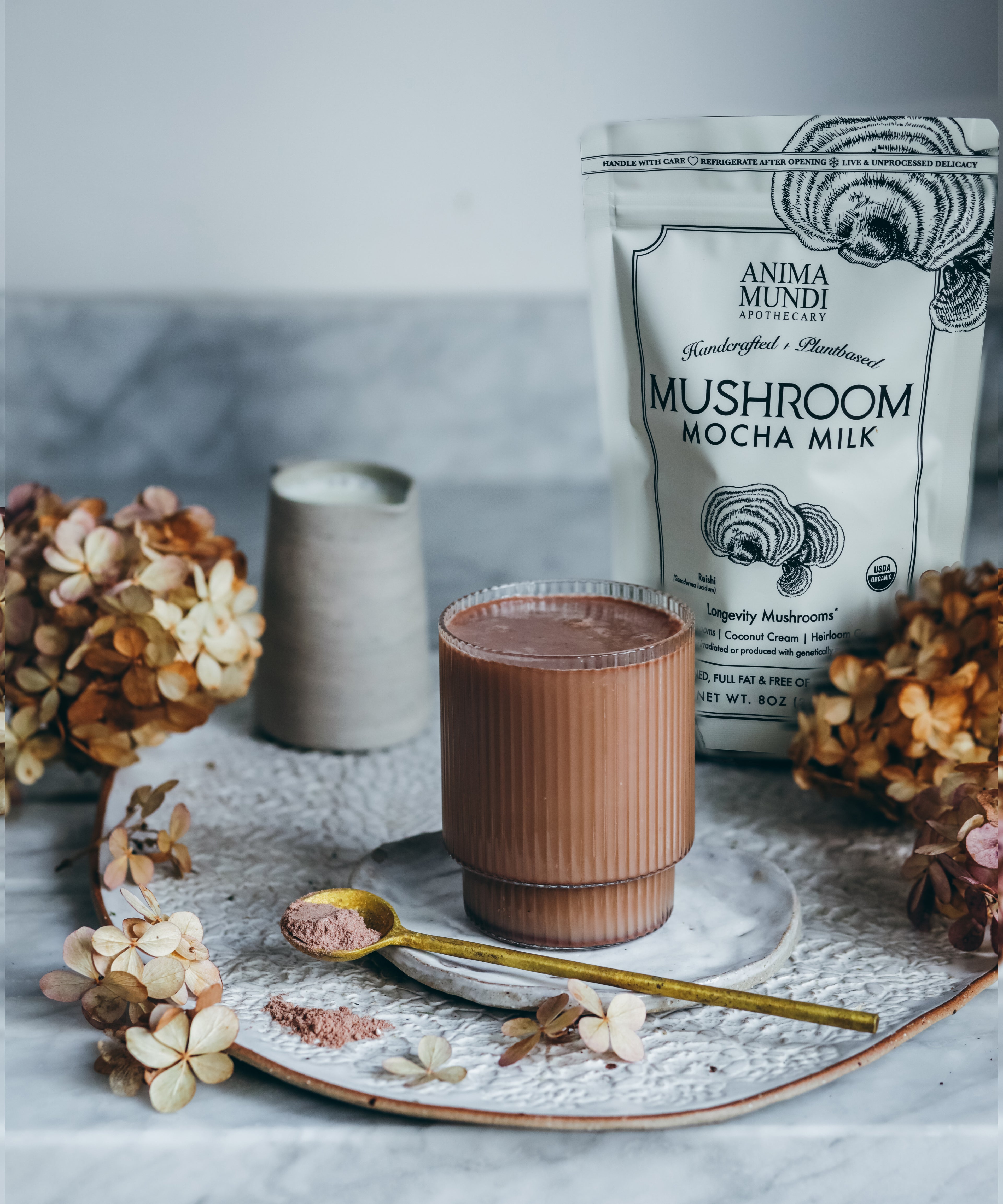 MUSHROOM MOCHA MILK | Longevity Mushrooms*