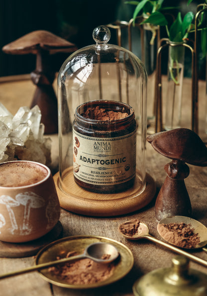 ADAPTOGENIC Powder | 7 Medicinal Mushrooms + Cacao