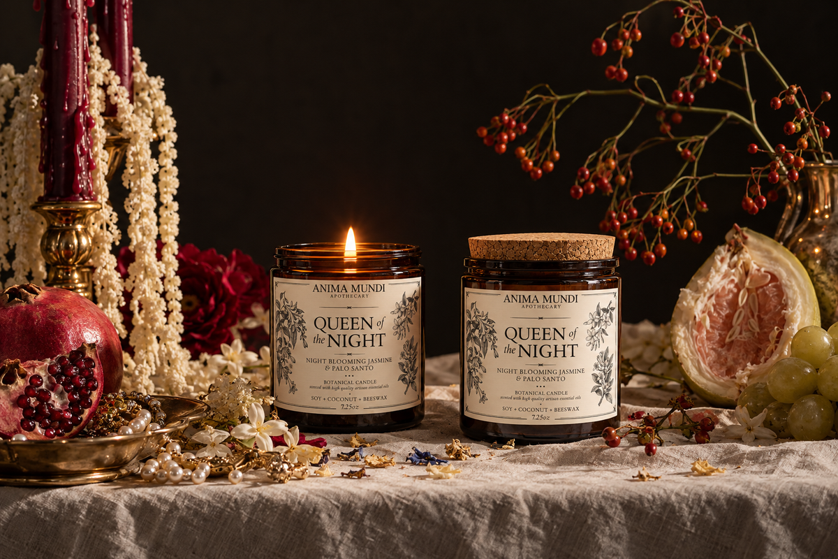 QUEEN OF THE NIGHT CANDLE | Night Blooming + Sensual Awakening
