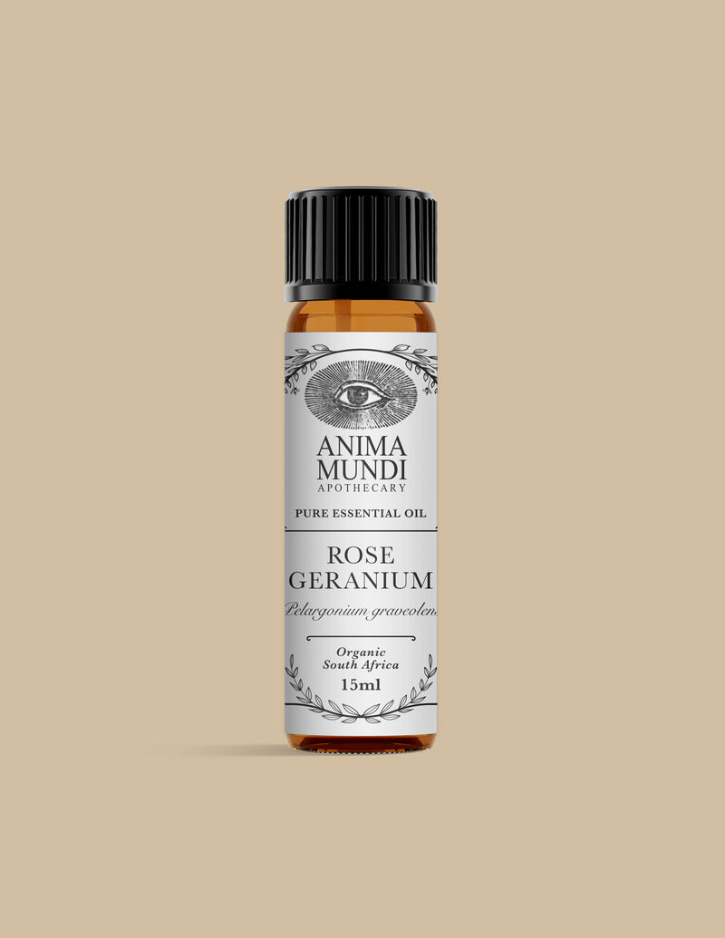 ROSE GERANIUM Essential Oil | Organic