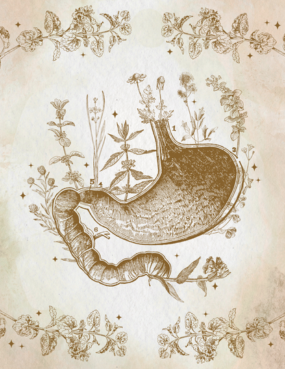 Vintage-style scientific illustration featuring a human stomach with a caterpillar wrapping around it, surrounded by botanical drawings on an aged beige background.