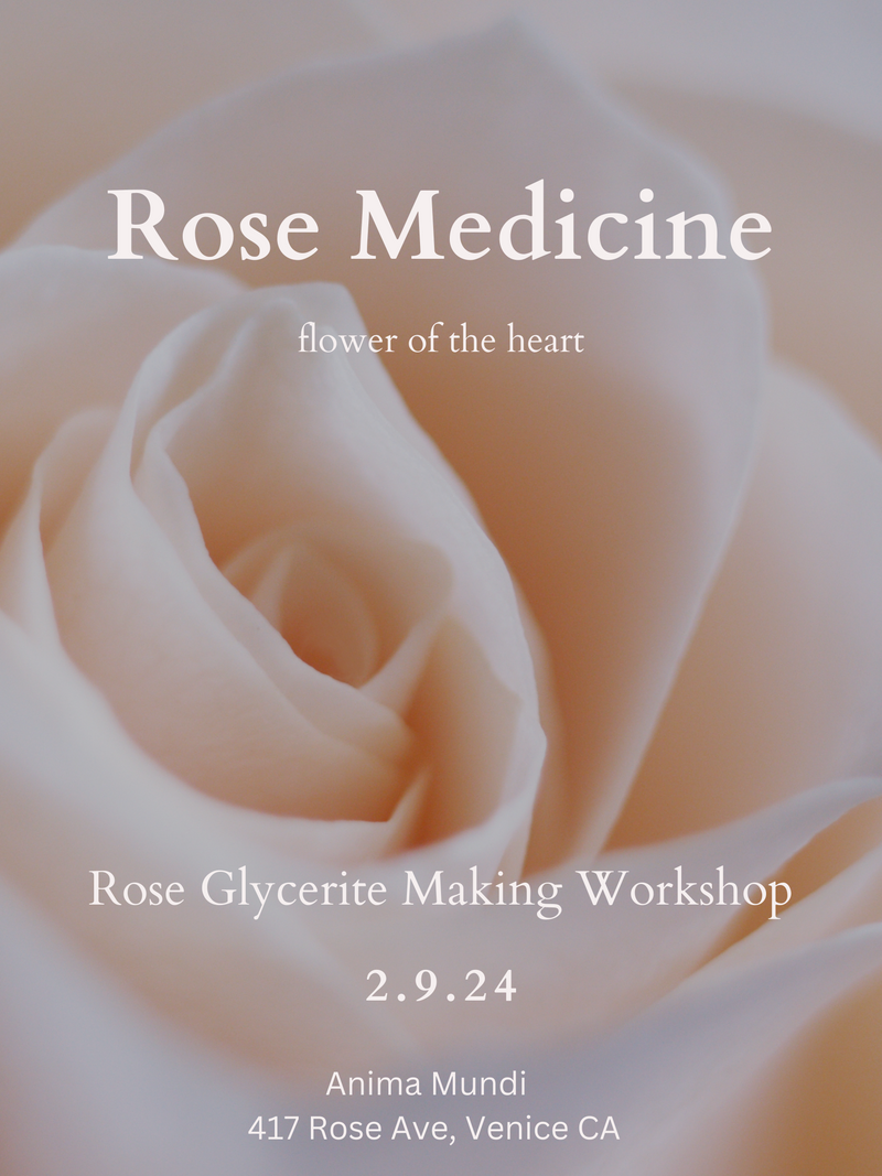 Rose Medicine Workshop