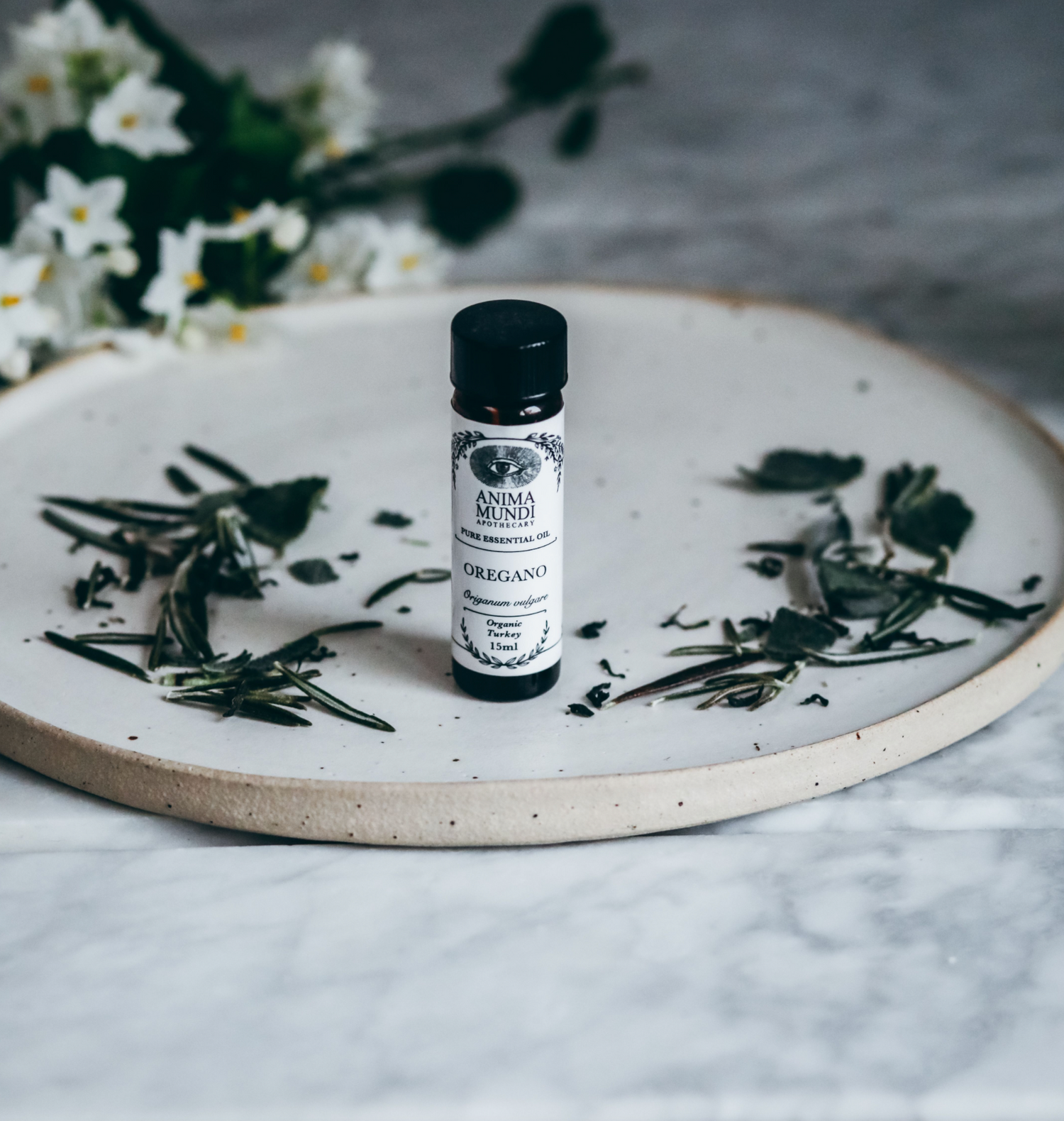 OREGANO Essential Oil | Organic